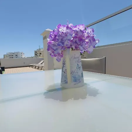 Lägenhet Sweet Panorama T3